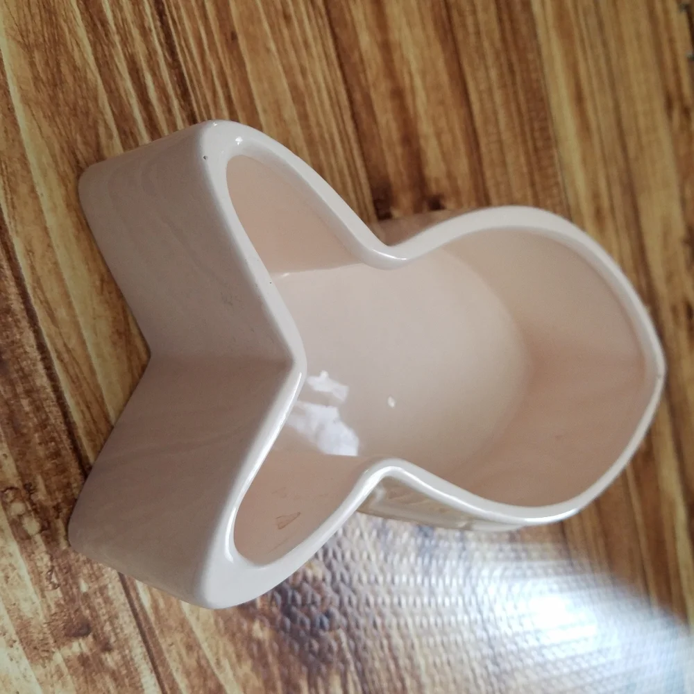 Furry Friends & Co Ceramic Cat Meow Fish Shaped Deep Cream Pet Bowl Water